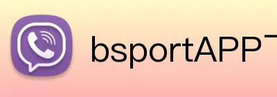 bsportAPP下载 logo